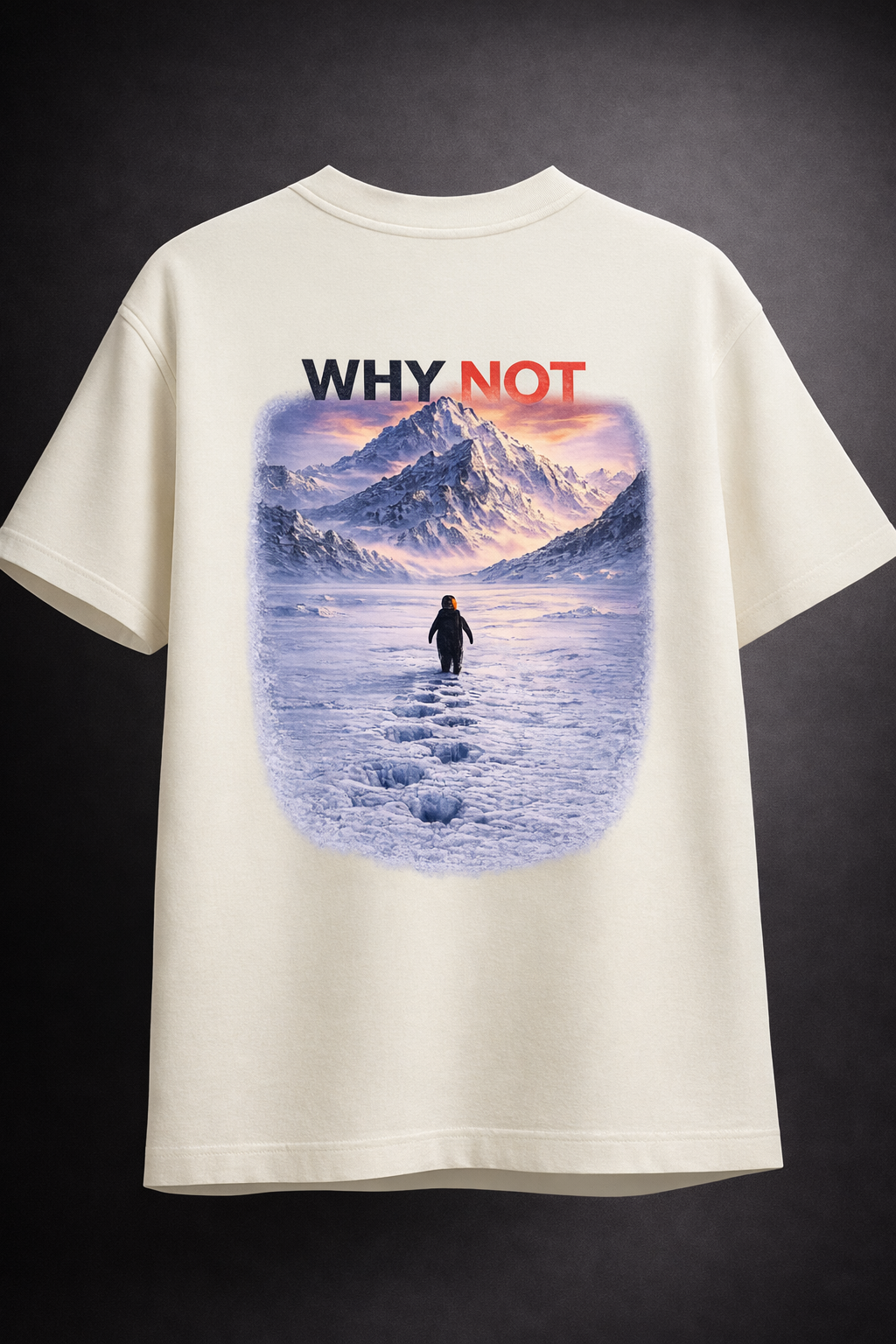 Why Not - The Motivational Oversized T-shirt