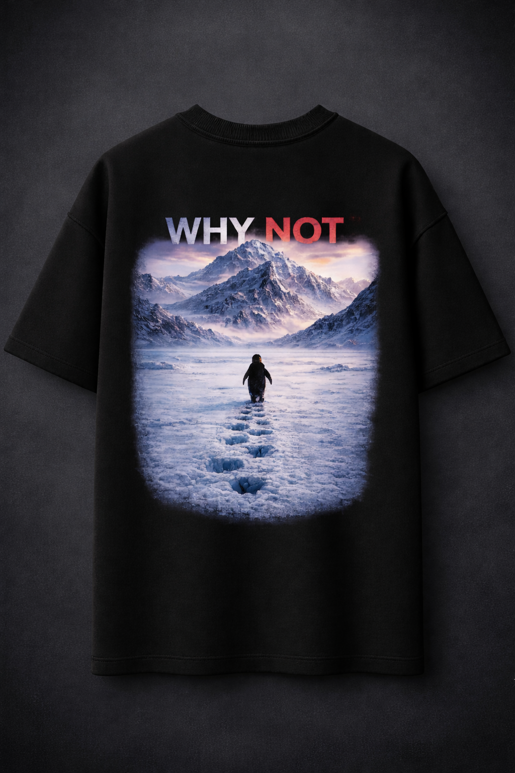 Why Not - The Motivational Oversized T-shirt